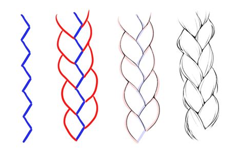 How do you draw a braid? Tips and Techniques to Explore